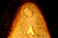 Madonna in vetrofusione